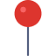 Pin