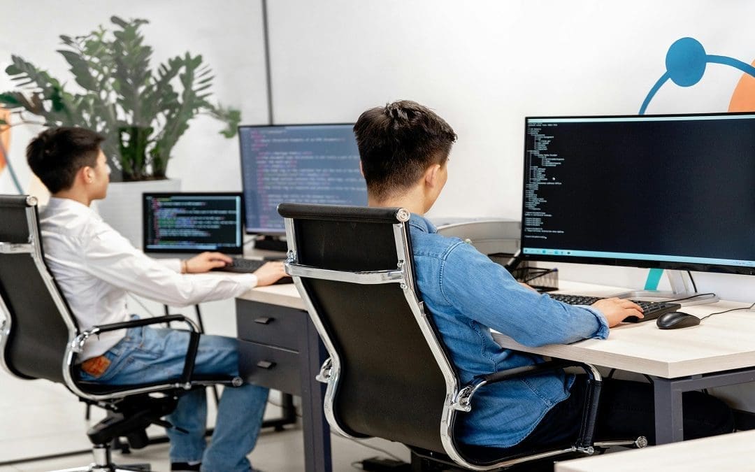 Who Are Web Developers?