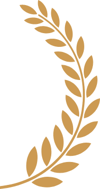 Group 10 Leaves
