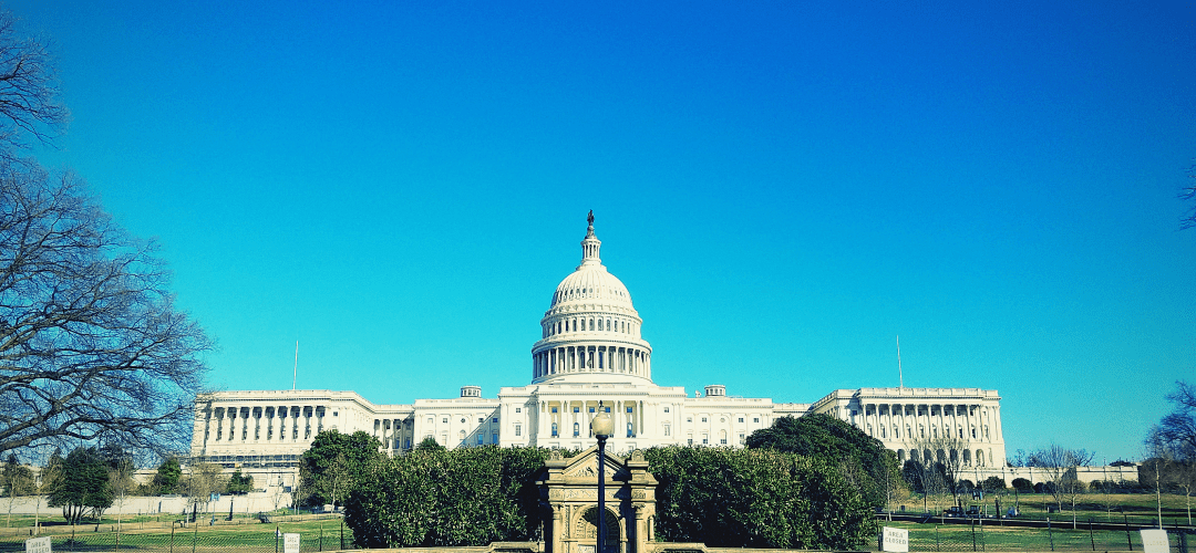Case Study — Wish - Washington Intern Student Housing (2020)
